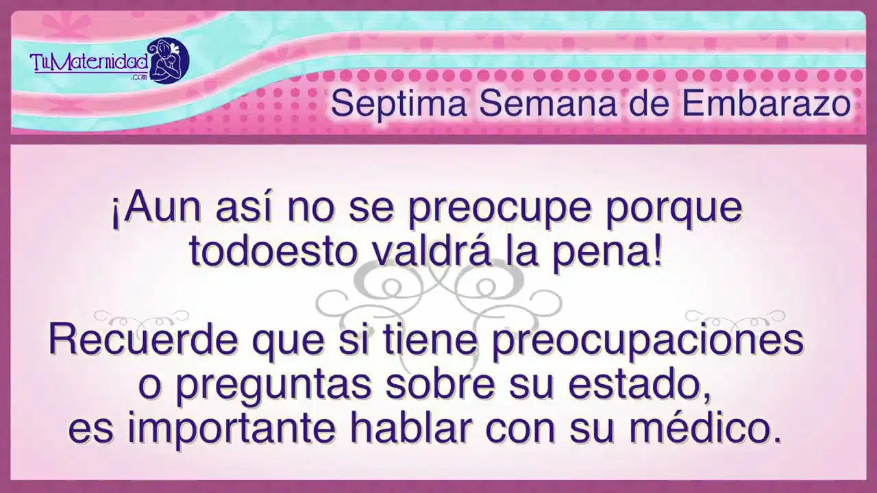 6 semanas de embarazo