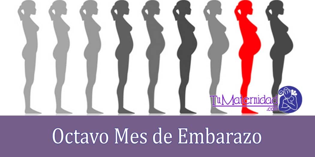 Octavo Mes de Embarazo Embarazo Mes a Mes Tu Maternidad