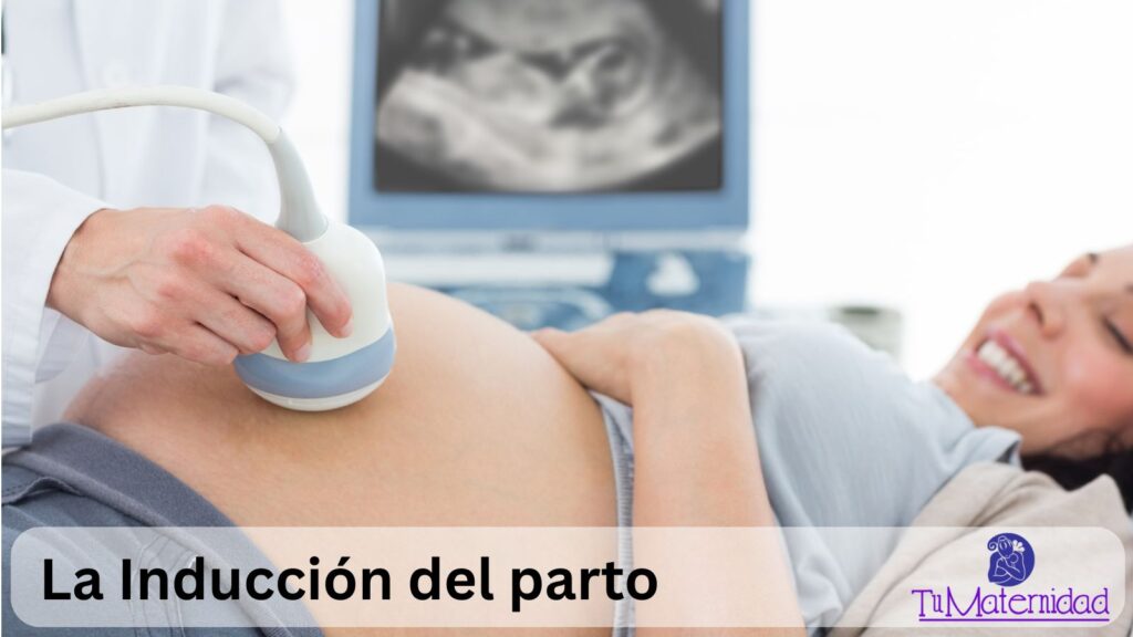 El Proceso de Inducción: Qué Esperar
