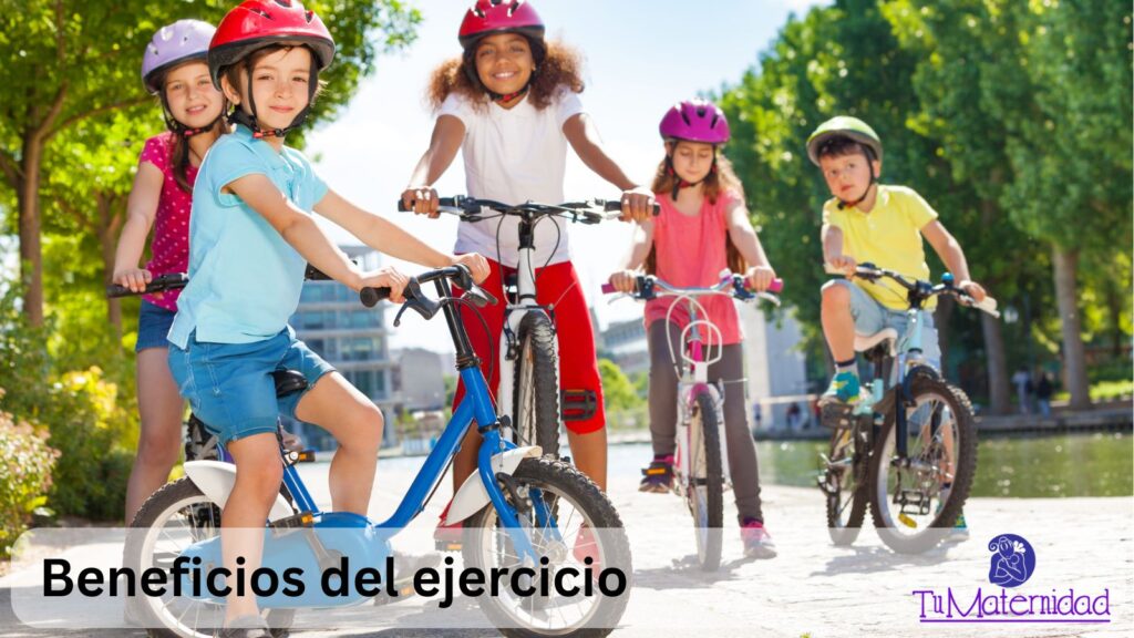 Seguridad y Precauciones