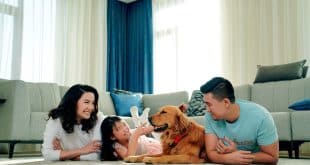 Introducción a la Convivencia con Mascotas