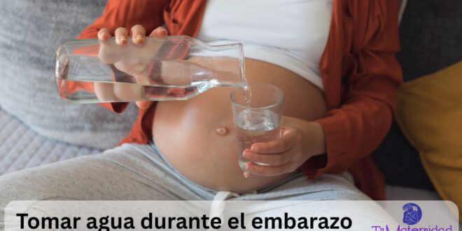 La importancia de tomar agua durante el embarazo