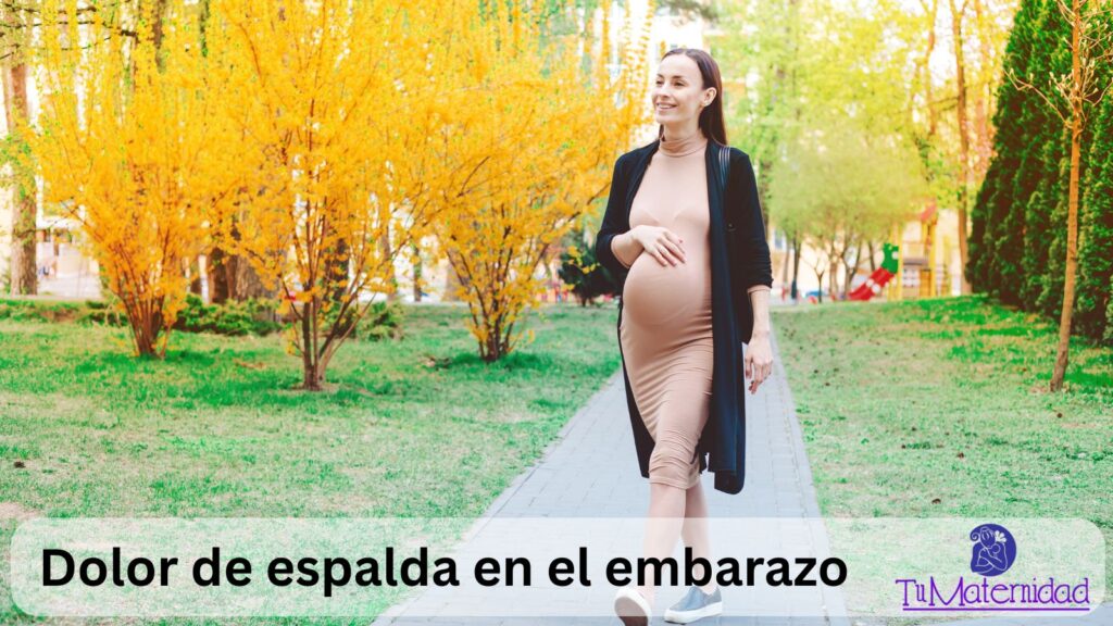 Modificaciones en el Estilo de Vida y Posturas