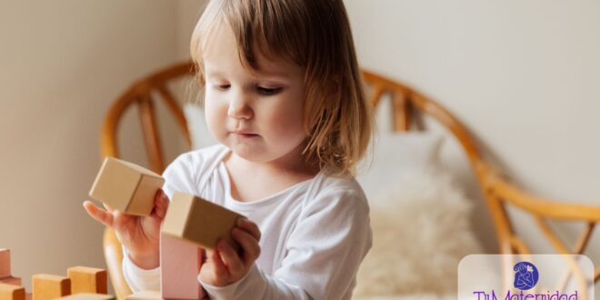 El Poder del Juego: Cómo los Juegos Transforman el Desarrollo Integral de tu Hijo